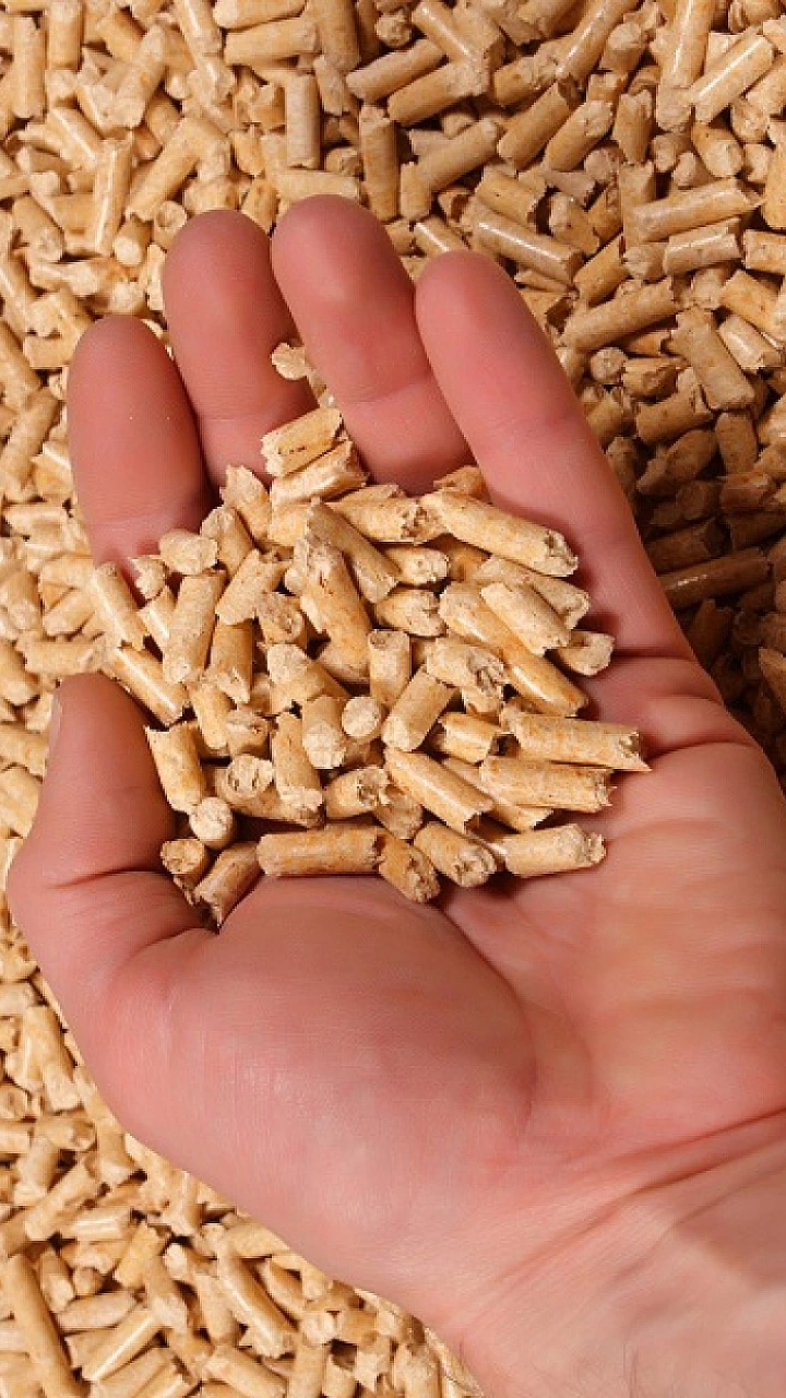 stufe ibride legna pellet